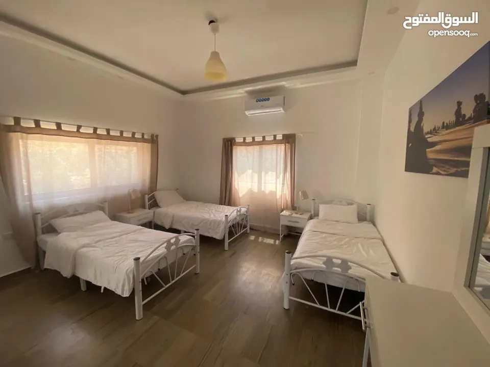 SanaFarm Oneمزرعه للايجار قرب جامعه    فيلادلفيا بجرش.. الرجاء التواصل عن طريق الواتساب
