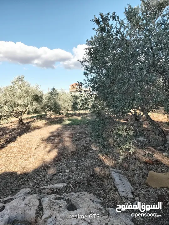 ارض للبيع في زبوبا طريق المطلة