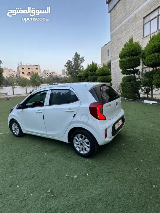 محمد النتشه