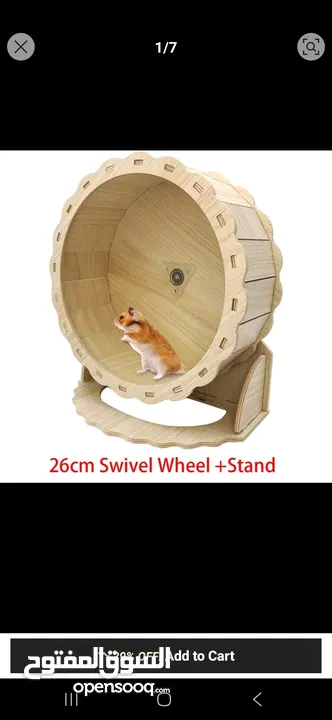 هامستر للبيع