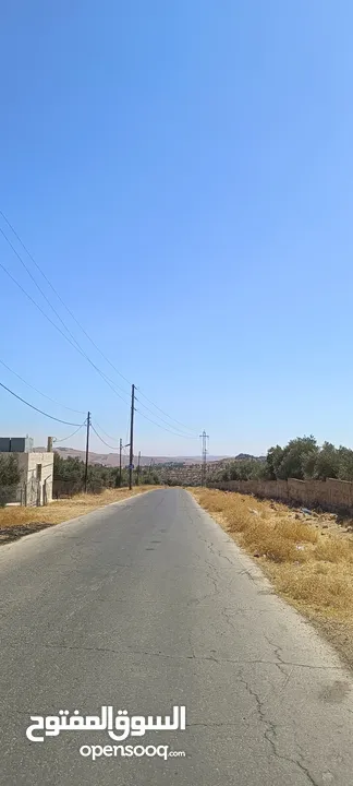 مزرعه زيتون صغيره راقيه طريق  اربد عمان . ثغره عصفور . اول جبا على يمين . قوشان مستقل. راقيه
