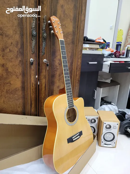 Acoustic Guitar