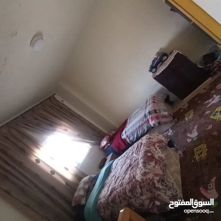 شقتين كوشان واحد