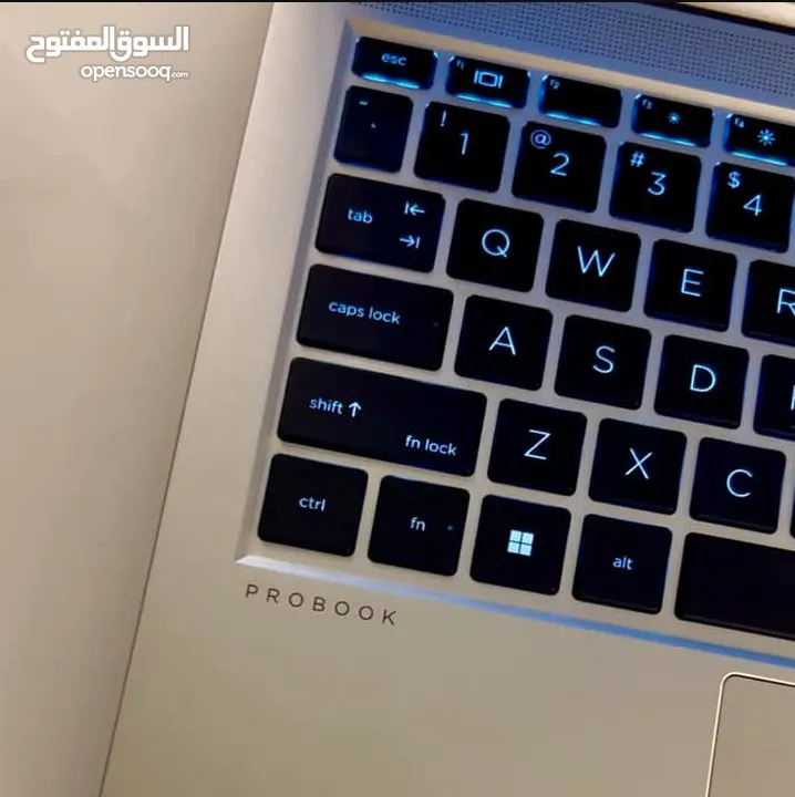 بقت قطعة وحدة بس  hp probook 445 g8