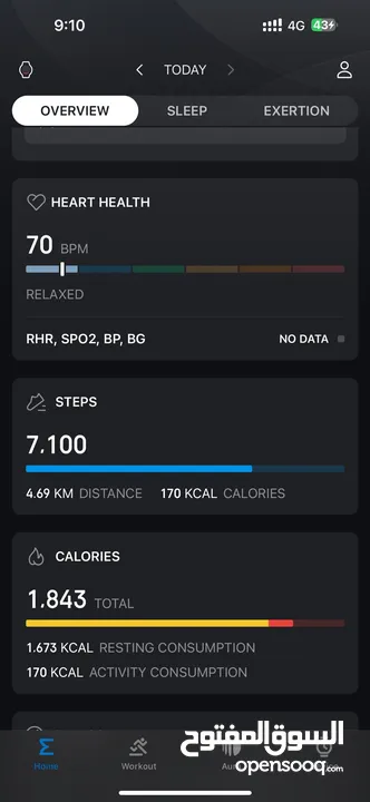 Amazfit t-rex pro