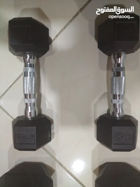 Dumbbells weights l brought them in 2024 November they are not scratched nor damaged