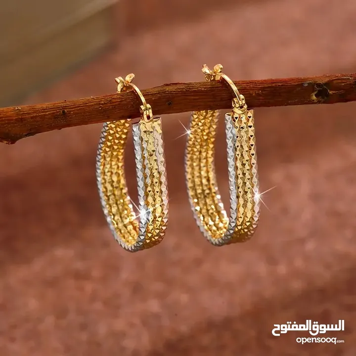 Golden Sparkling Hoop Earrings
