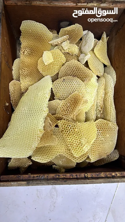 اجود انواع عسل السدر العماني بجودة فاخرة و مضمونة و عسل السمر الأصلي والصافي بجودة ممتازة جدا