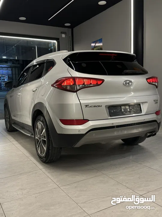 احمد سامي سليط