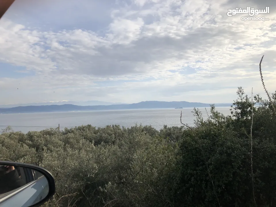 Town House with stunning view at the seaside in a garden with olive trees