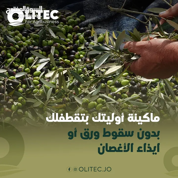 ماكينة قطف الزيتون الايطاليه Olitec