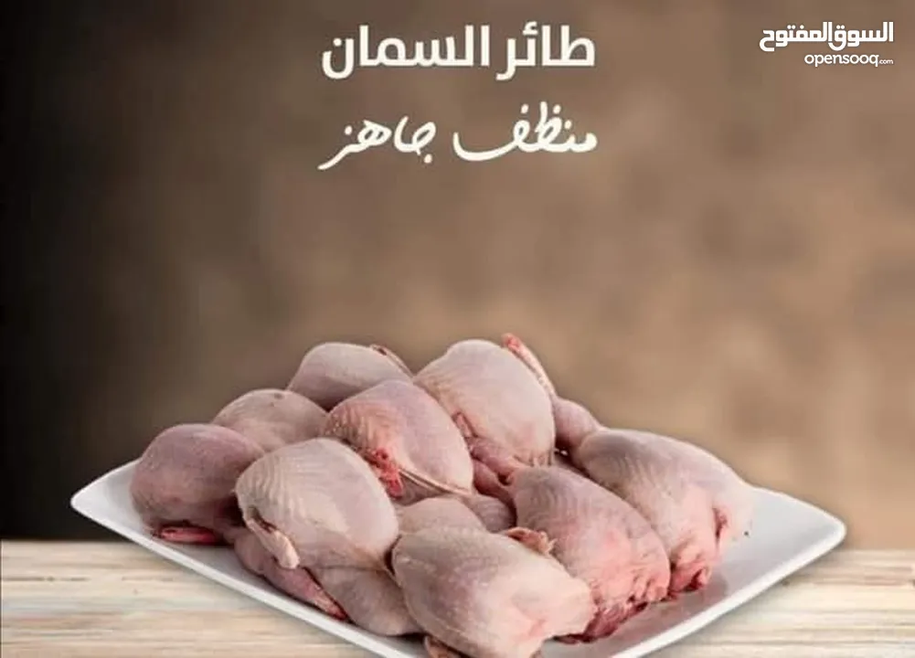 بيض فري طازج يومي