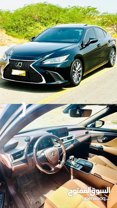 2019 LEXUS ES 350