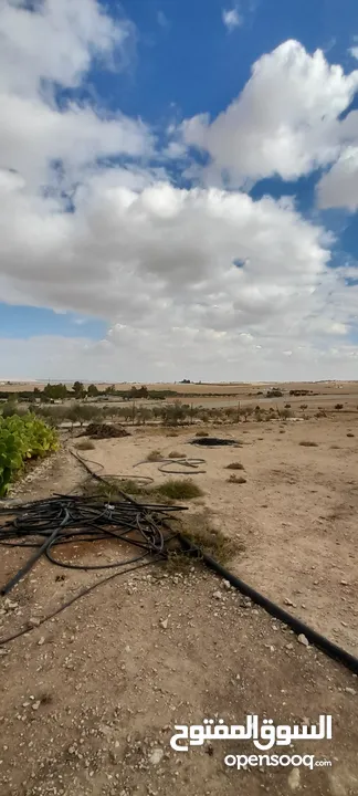 ارض زراعي في منطقة ضبعه في الأردن 65 دونم للبيع