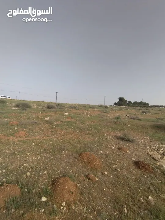 3600م للبيع رحاب بني حسن مرتفعه ومطله ع طريق اريد الزرقاء من المالك مباشره