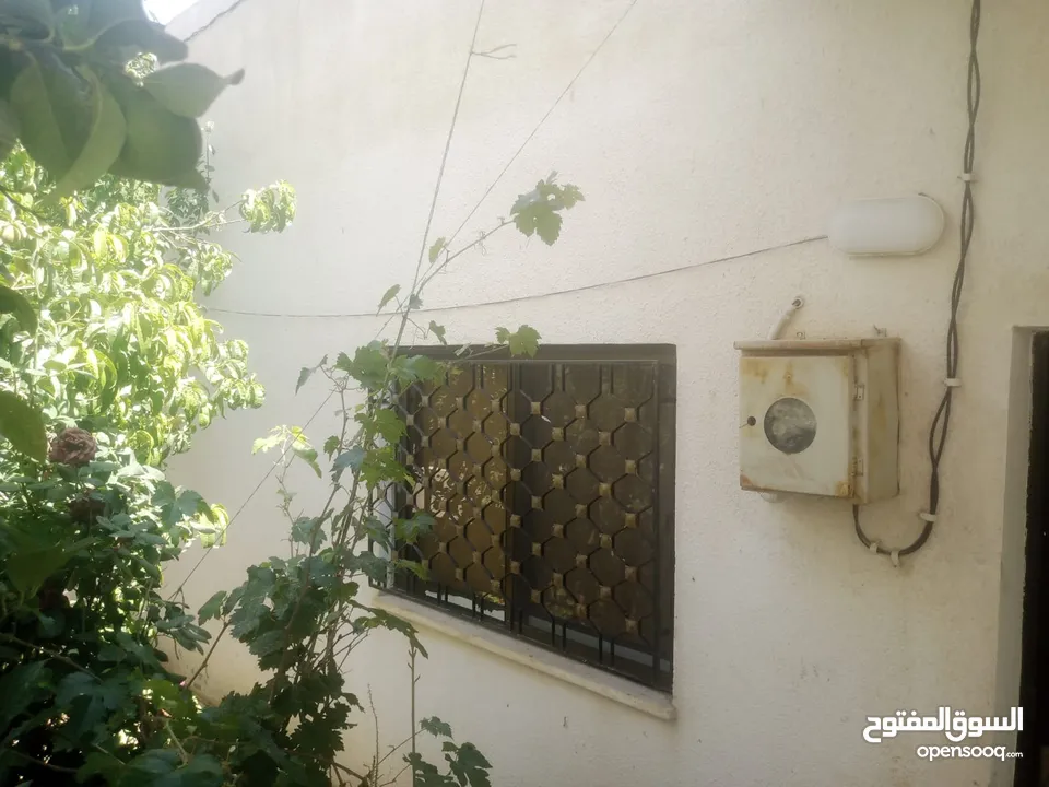 منزل مستقل جرش اسكان عجرمه  3غرف نوم 2حمام  صاله مع مطبخ امريكي  بلكونه  حديقه مساحه الارض 305