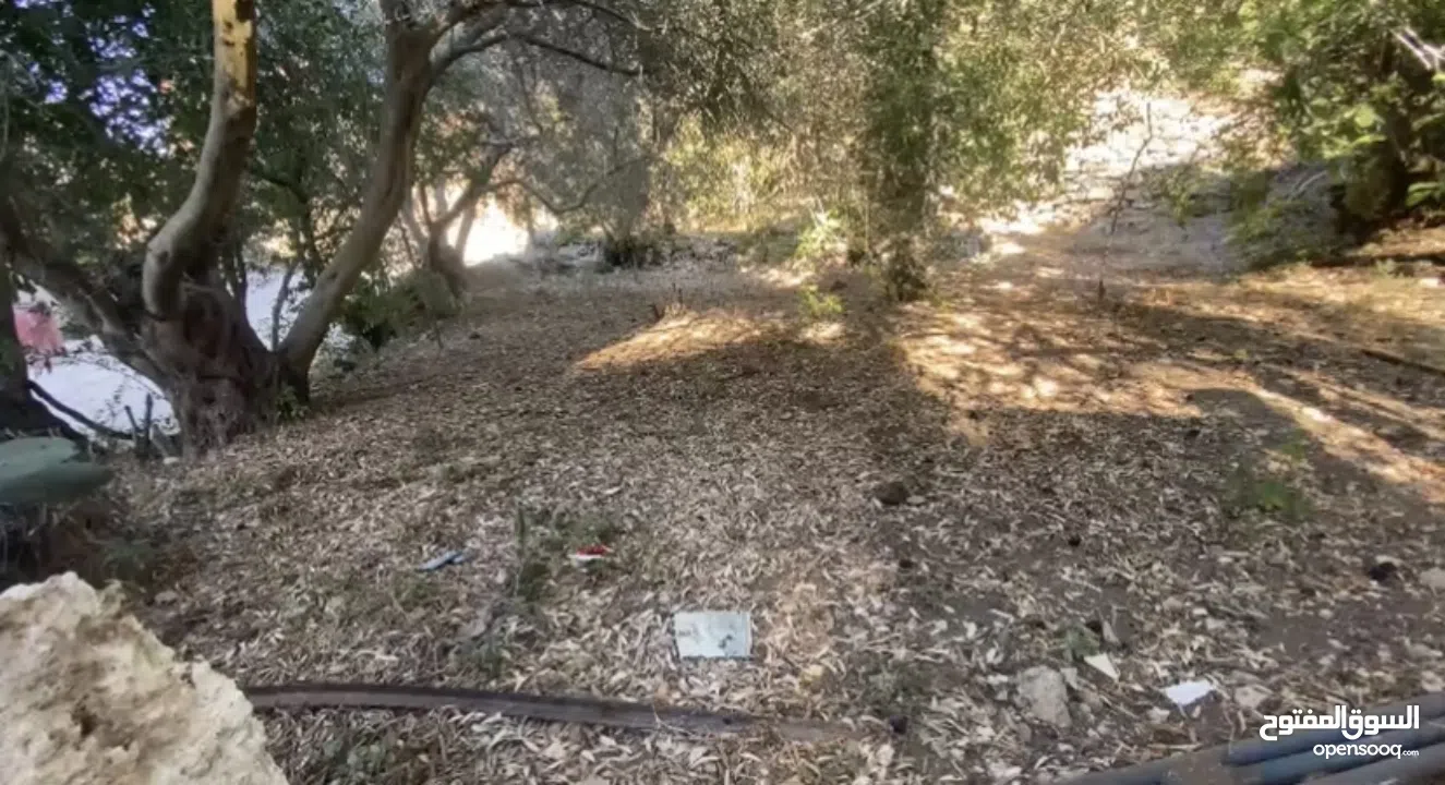 اشتري كاش... ومبروك مقدّمًا لصاحب النصيب سعر ببلاش - ارض 240 متر بموقع ممتاز