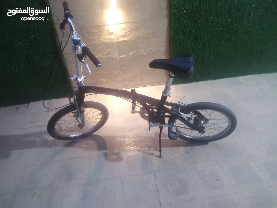 بسكيلت امريكي بن طوي جنط عشرين  نخب
