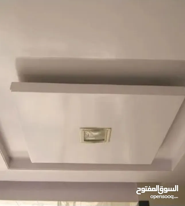 private contractor (interior designer)
