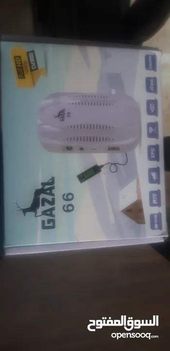 غزال 66 للبيع