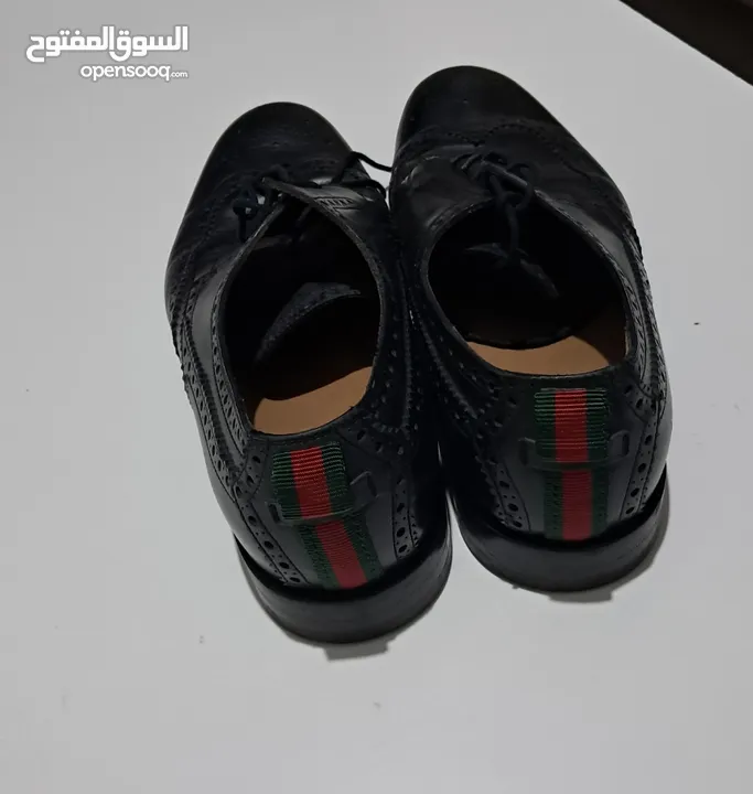 حذاء تودز وتومي