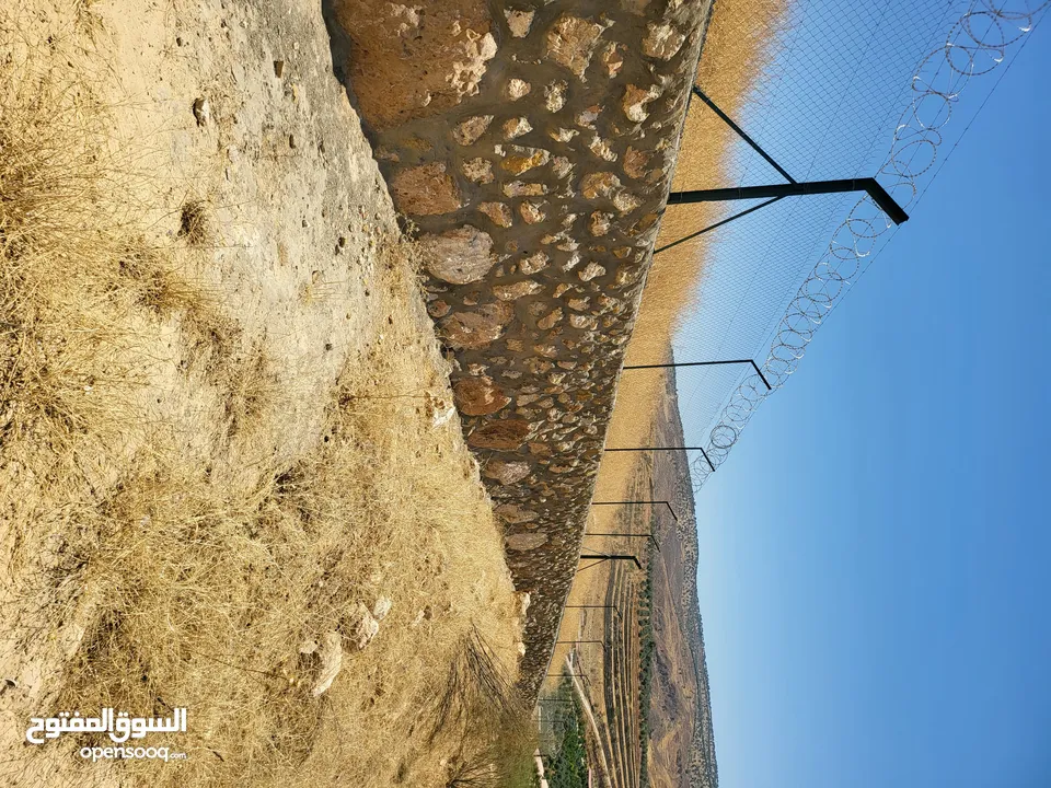 للبيع مزرعة زيتون بأجمل مناطق جرش ومن المالك فقط ب 11 الف دينار  يا بلاش