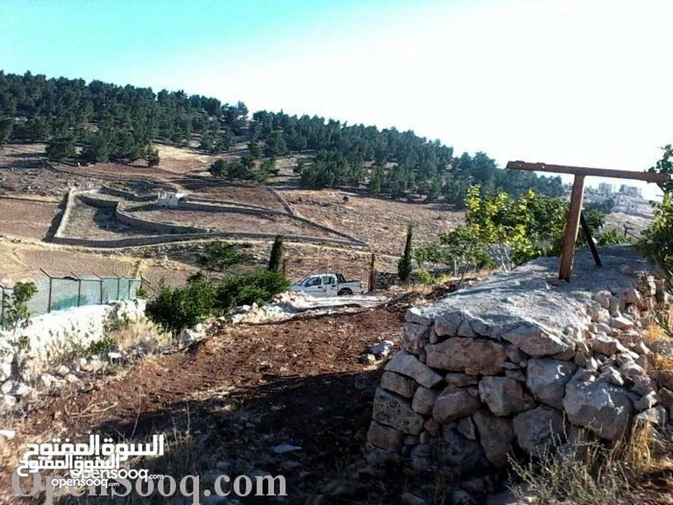 مزرعة في جرش للبيع من المالك مباشرة