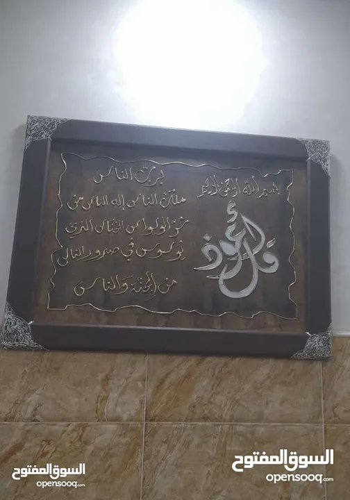 برواز برداي زيبرا ورفوف للبيع