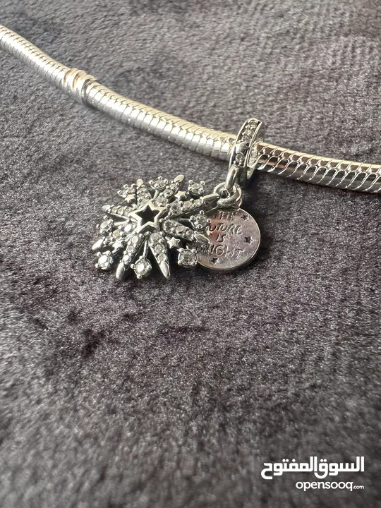 Pandora Charms Collection - Roza Accessories- كولكشن التشارمز من باندورا
