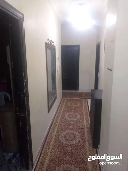شقة شبه ارضي للبيع او للايجار من المالك