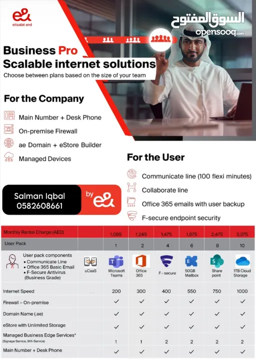 خطوط ارضيه وانترنت بيزنس للشركات والمحلات التجاريه BUSINESS INTERNET & LANDLINE FOR LLC COMPANIES