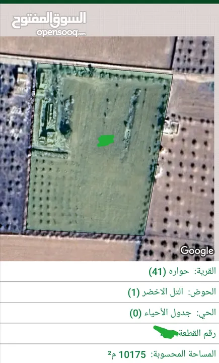 للبيع قطعة أرض 10 دونم في حواره التل الاخضر جنوب عمان