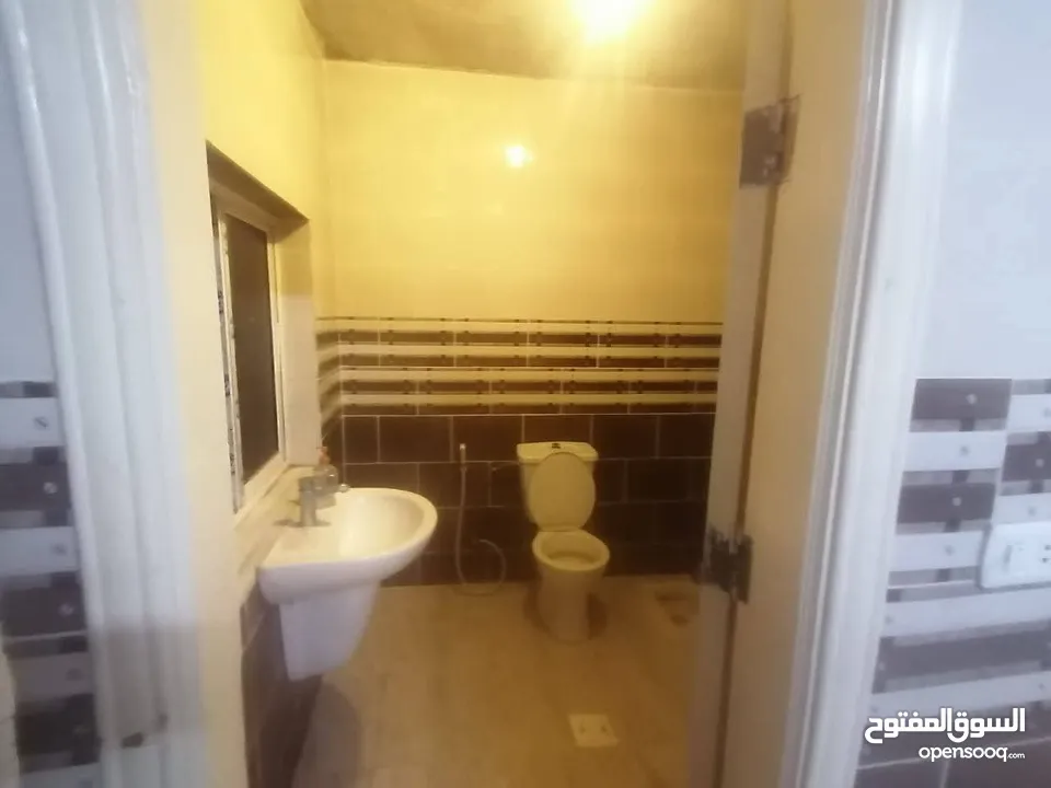 مطلوب شقة للإيجار