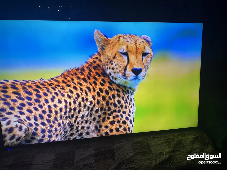 شاشه 55بوصه  Led 4K بحاله الوكاله  ولا برغي مفكوك منها  معها  ريموت وقاعده جداريه