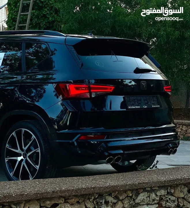 كوبرا 2019