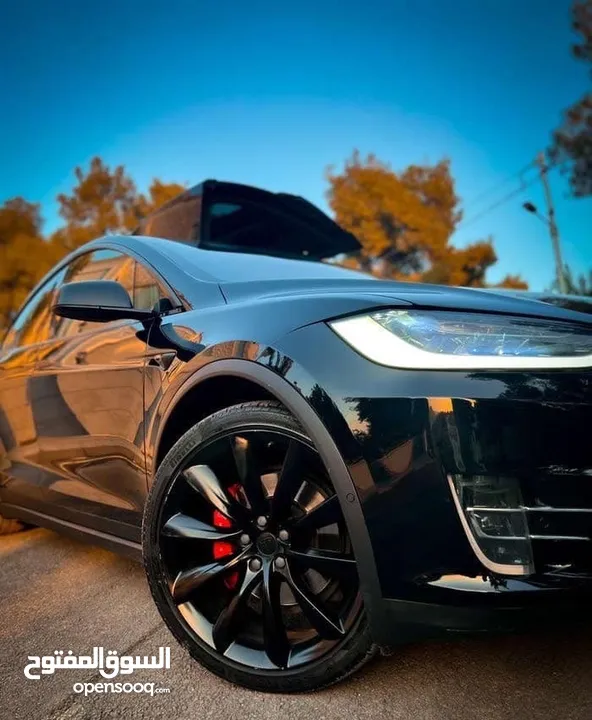 Tesla X 2019