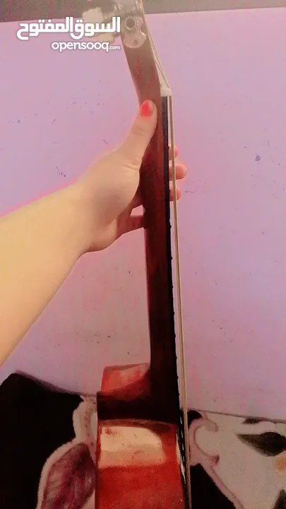 جيتار تعليمي مع ريشه
