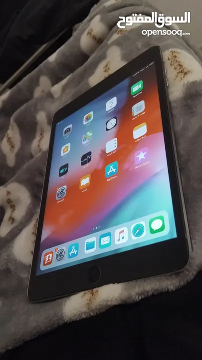 mini iPad 2