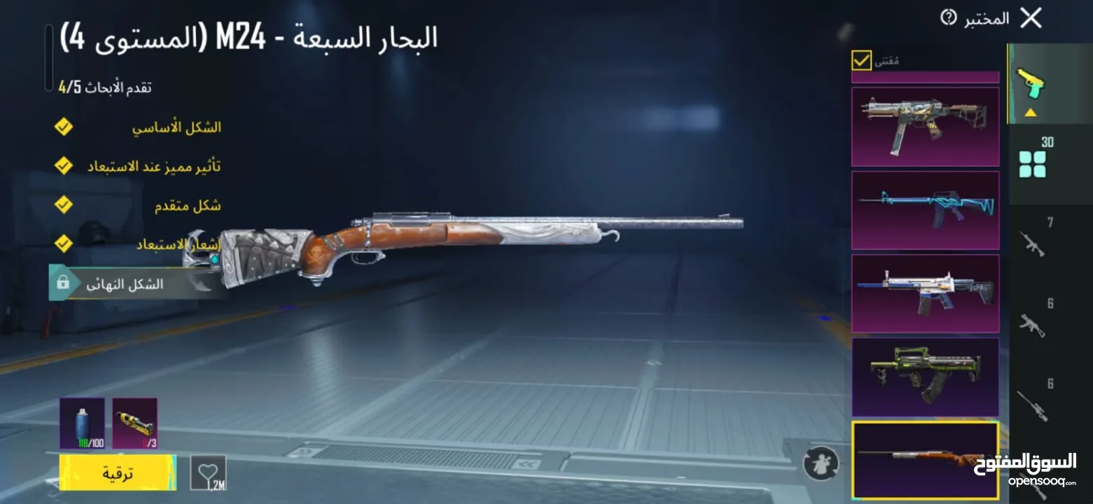 حساب ببجي مرتب