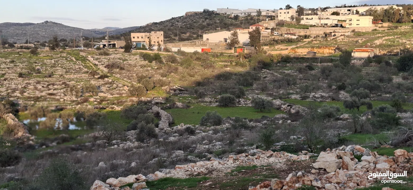 800متر طابوا فلسطيني في اجمل موقع بالكفريات واطلالة مميزةمنطقة( b)صالحة للبناء