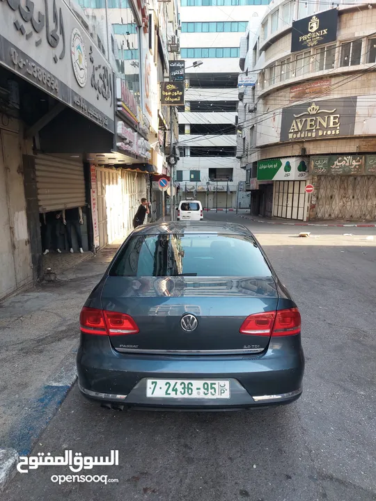 باسات 2013
