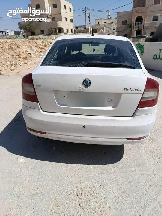 كادي وسكودا رمش