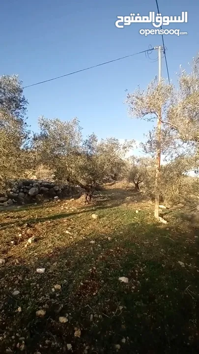 ارض للبيع بسعر مميز