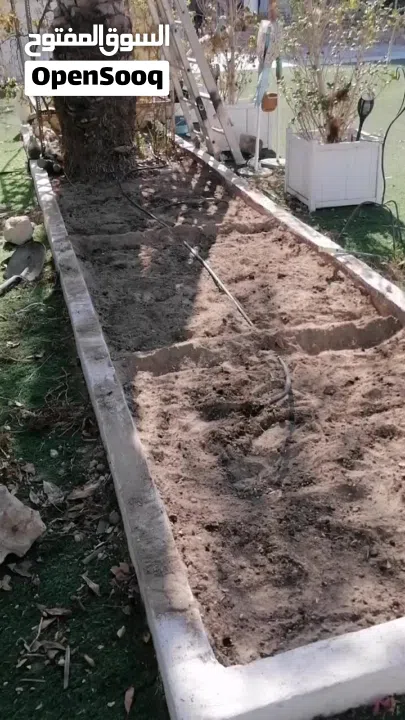 لتنظيف النخيل والواشنتونيا والاهتمام بالحدائق والثمار بكافه انواعها