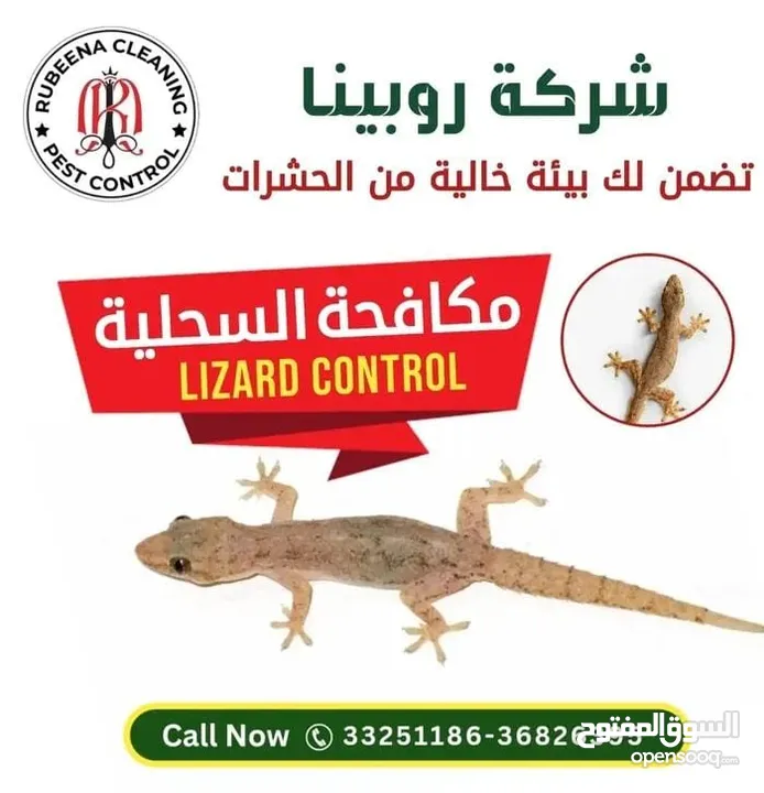 Pest Control Services contact only WhatsApp خدمات مكافحة الآفات