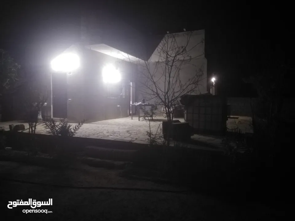 مزرعه شالية في منطقه سويمة قرب بحر الميت