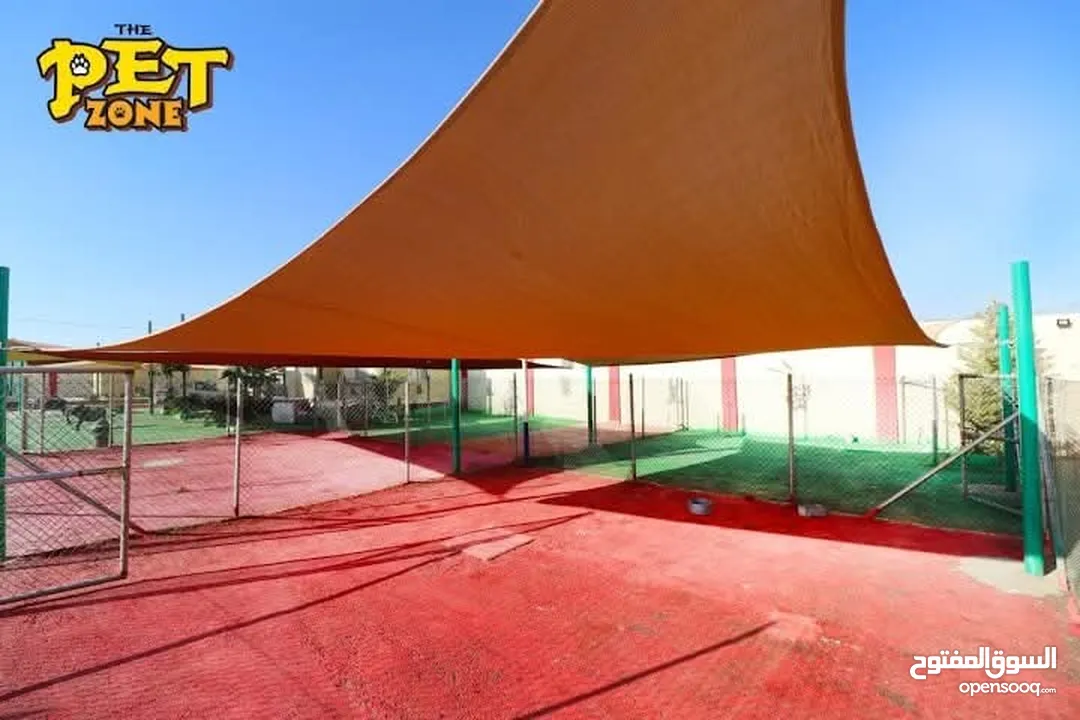 فندق ومركز تدريب للكلاب