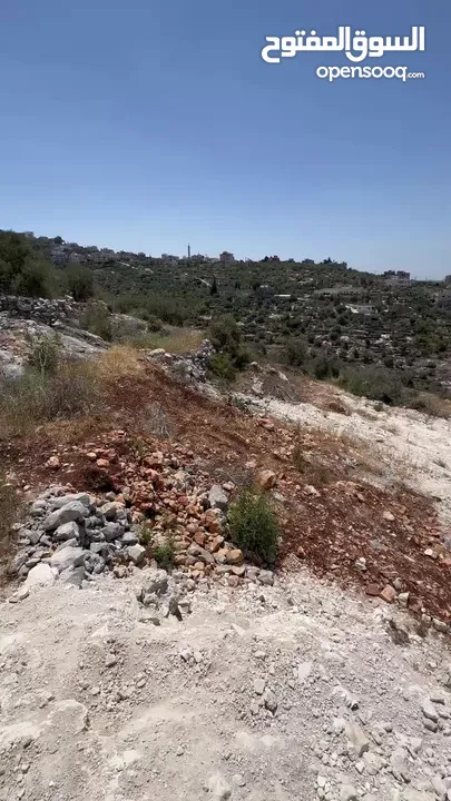 ارض للبيع بلعا