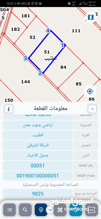 للبيع ارض 10 دونم في الطنيب مميزه بسعر مغري