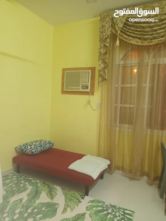 fully furnished Apartment for rent